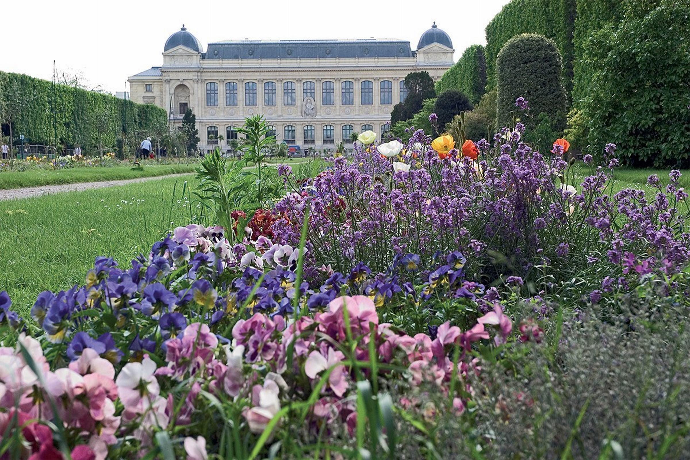 מלון פריז Libertel Austerlitz Jardin Des Plantes מראה חיצוני תמונה